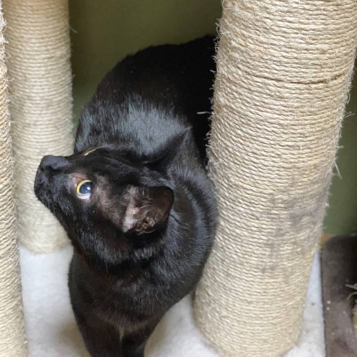 8532c39a b970 4942 beba 0765e8597596 1587260251956