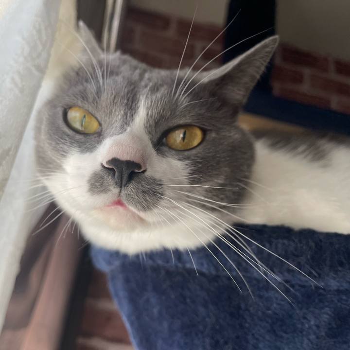 8532cfff 62ab 48fa bfba 35a6493c6d33 1666134525583