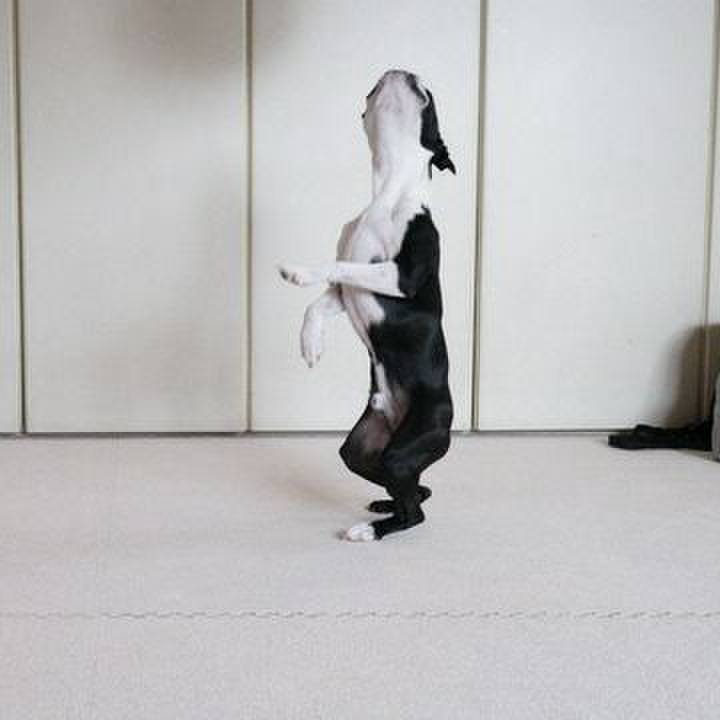 8532e2a1 b191 4eb6 9572 6d03aff4d08d 1554938907277