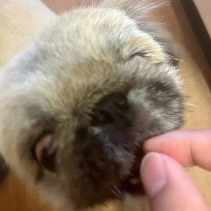 8533109f 9fa1 47fa 981e 309d64463003 1723931825500