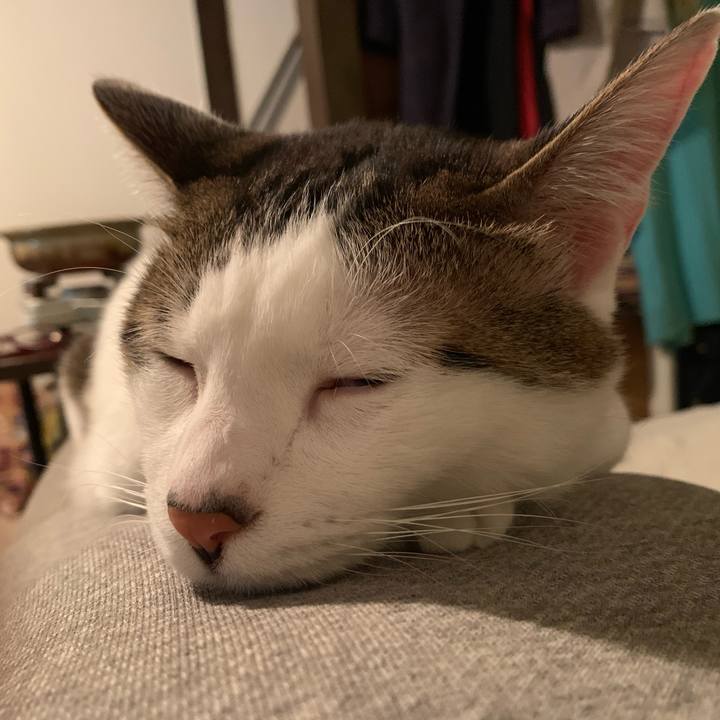 8533369b 7dcc 4d72 a7f7 6553f5fc5d7d 1587478149877