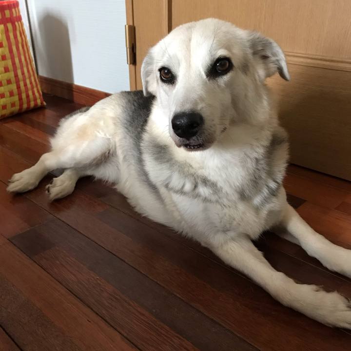 85333b5f 7651 4482 ba54 65f274f43ef0 1588988549450