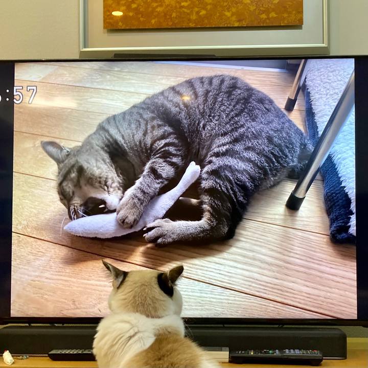 85334bb6 c314 48ac 864e c8851b2ae32d 1675166141683