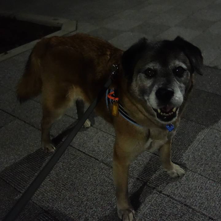 8533893f ed4b 4ba0 b6b5 674a6ee77cc6 1663718057766