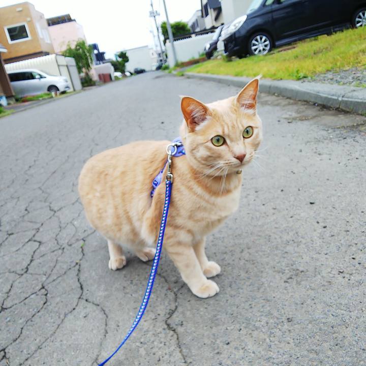 85339452 18e7 412b 9e98 b694e09caad0 1592518345543