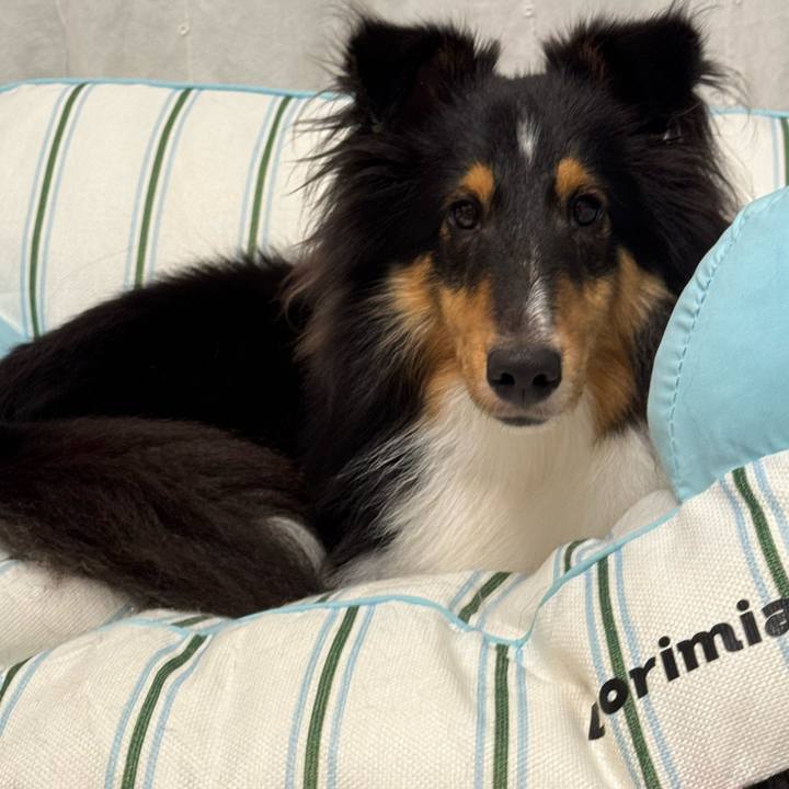 8533c9b5 7a2d 43dc b6a2 10c804ccd9a1 1758988419799