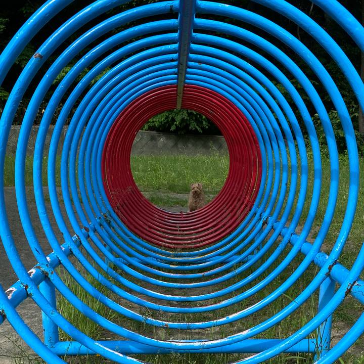 8533dddf 869a 4d88 a1d7 4b7a47307f57 1654901587347