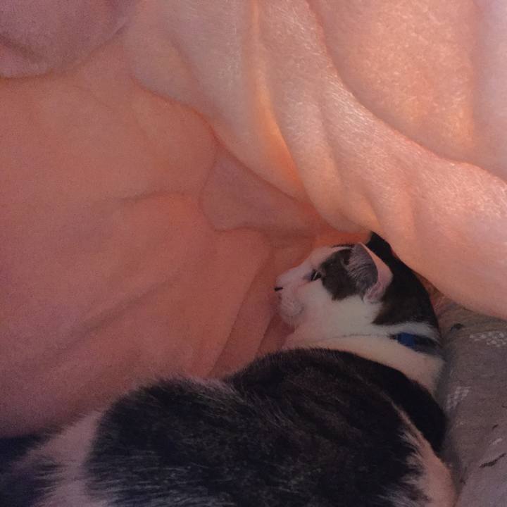 8533e2d1 9d3a 48cf 8cb0 9b6bd237a0d8 1520125092069