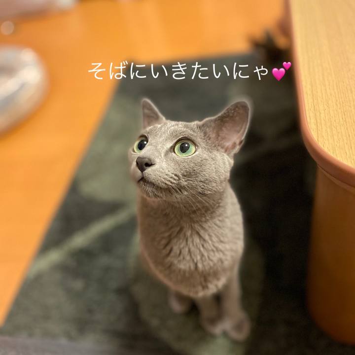 853451c9 6aa5 4f6e 9665 0e2b639b87a0 1664614898853