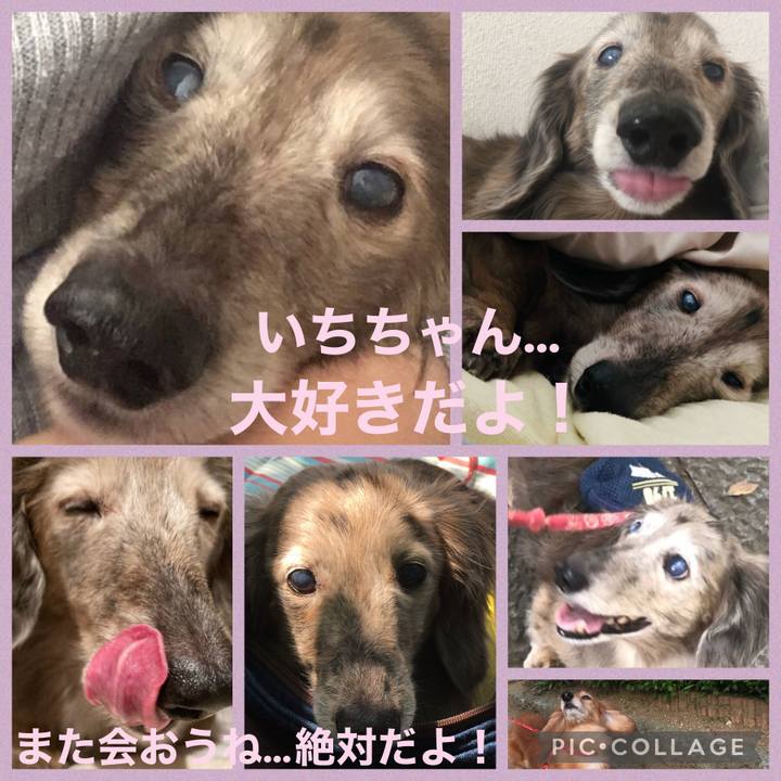 85347e59 4849 4f84 a9aa 464b7308e987 1620350430652