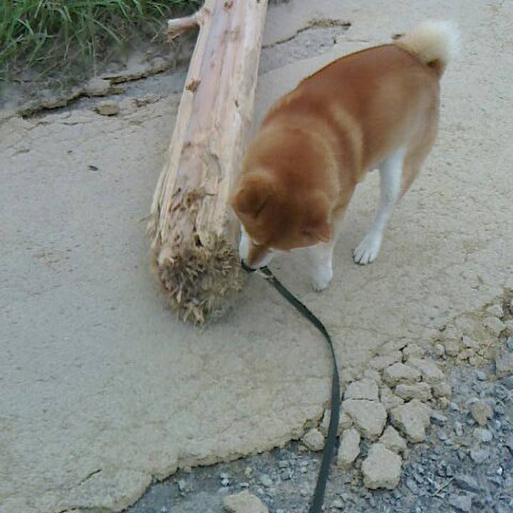 8534b7c6 dac6 40cf b0cd b508be9ed75c 1531373711399