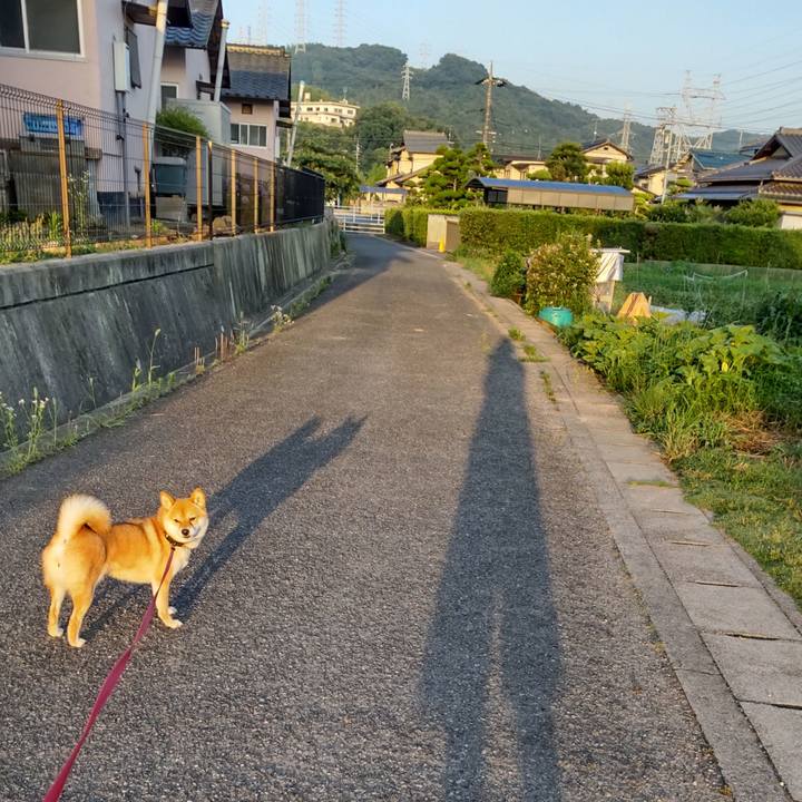 8534dbc2 66d1 44a5 88e3 961bafea6aac 1655931926504