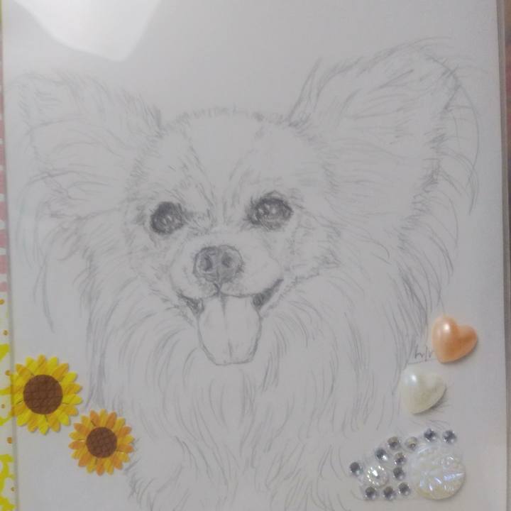 8534e51f 68d9 4fdf 81b2 05fc31f1da97 1596266158347