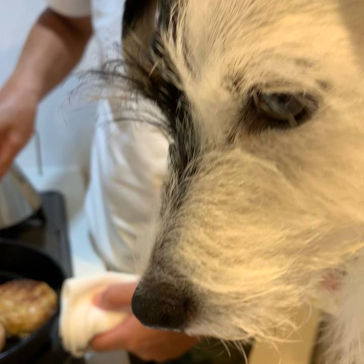 8534fd9f b398 4d21 af07 bc8b64c259dc 1632651978364