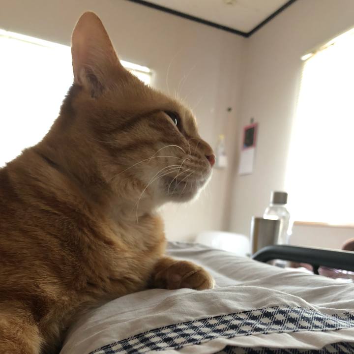 8534ff57 9be6 46a1 ae09 612c48b0d053 1583532197416