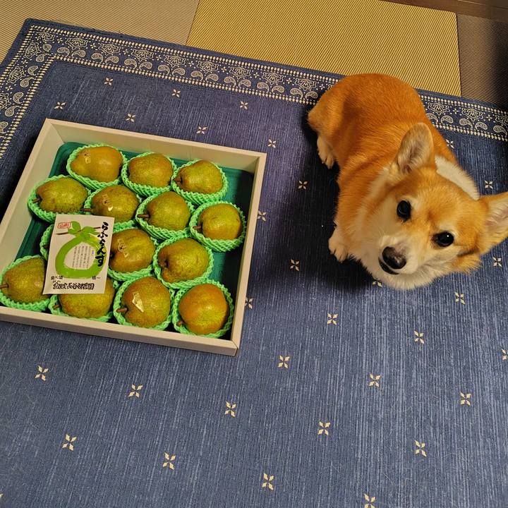 85352a97 d4eb 44f7 8db8 a3aa5e0235db 1763015527715