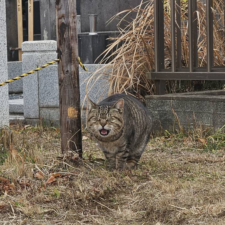 85353580 5372 44ac 84e2 4bfd32deb382 1706845870788