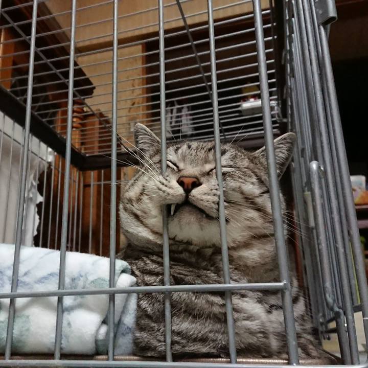 85355641 0d1a 4503 9605 1eb0cab3b529 1514116386666