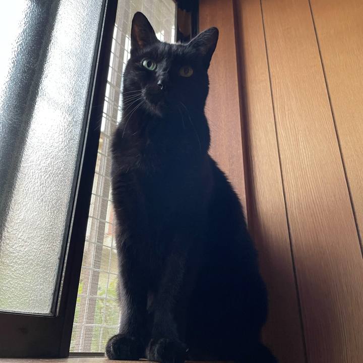 8535b76d de82 4bd1 be59 63ff8a533e60 1605490082728