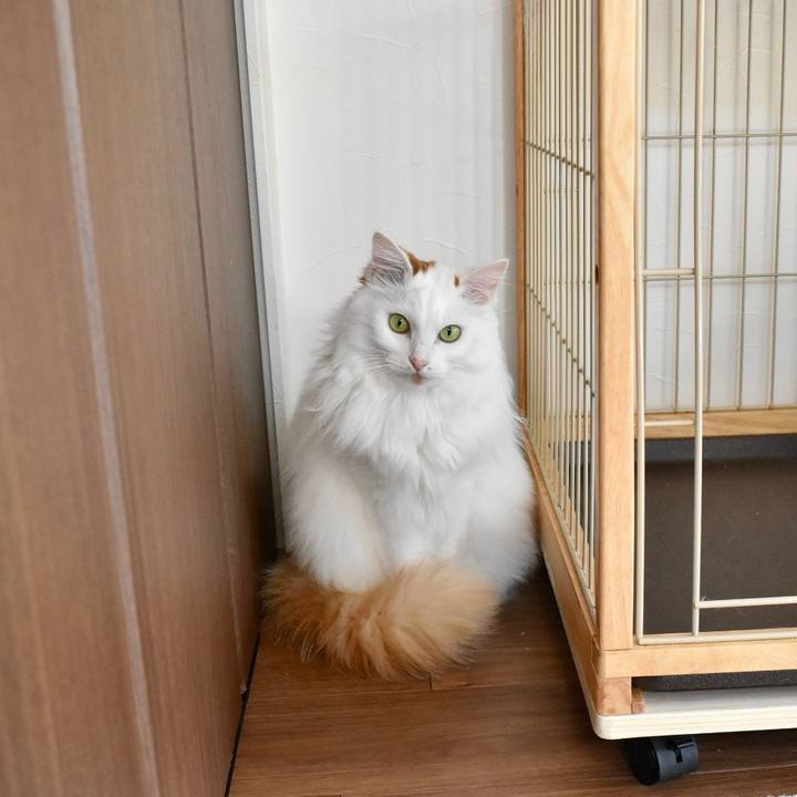 85361292 dd35 46cf 99ba 1aba133e5cef 1763860733533