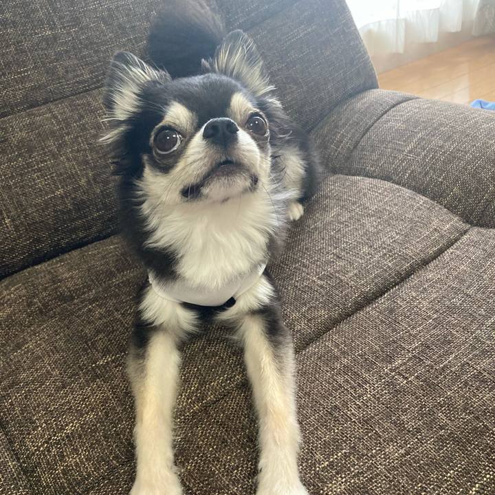 85361c62 0c9f 4651 a58a 57d513305cf7 1692096393899