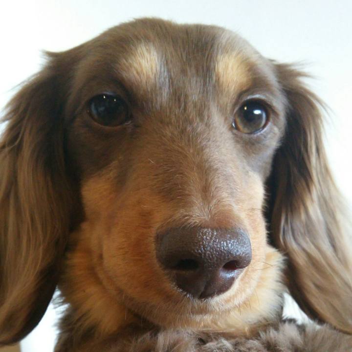 85364c6c 1236 4bf0 86e4 23778f87a367 1523589759513