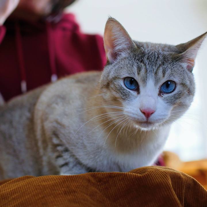 853672b9 7650 452d b367 6e43df20a399 1551100289857