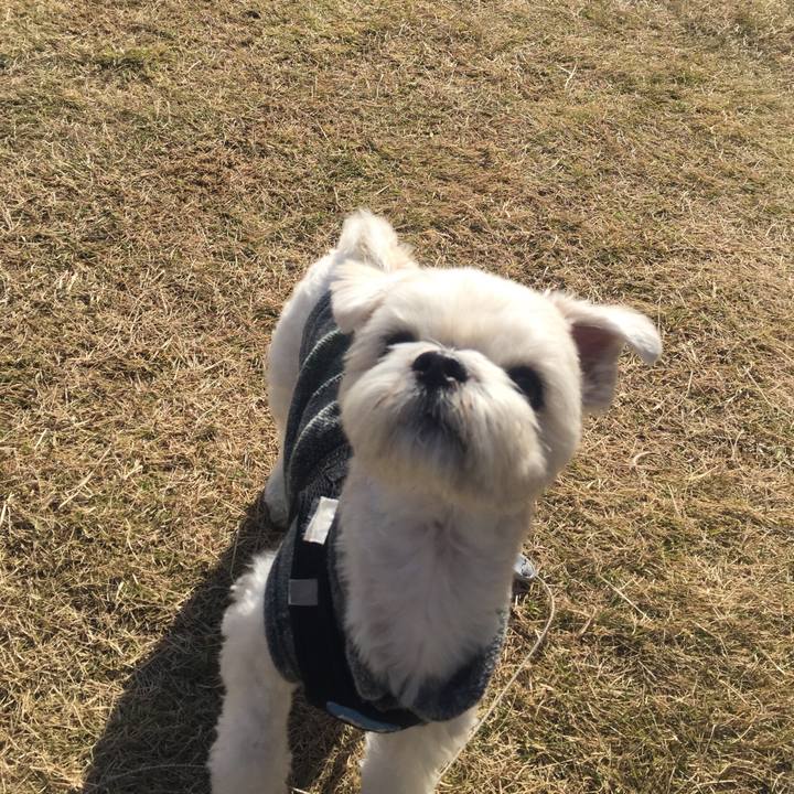 8536af20 ba37 41b5 b966 ce6ba1310760 1511701309469