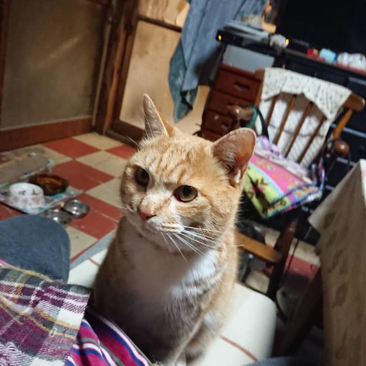 8536b166 d2a8 4523 a4e9 529cd4c941e8 1579421504165