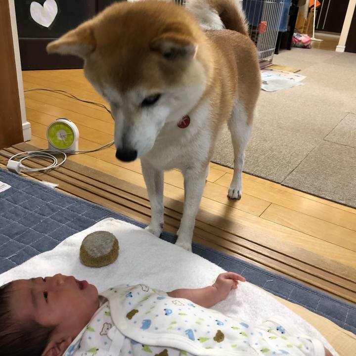 8536b62b 5dbd 428e a6f5 08cec7c2f2eb 1630998197702