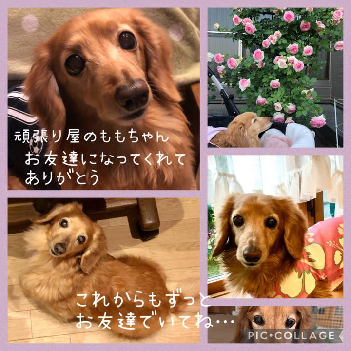 8536e1e4 ba7d 43a7 b8f3 6983d347fb8d 1685422471479