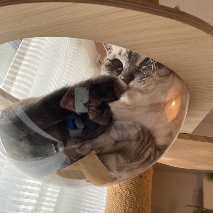 8536fb1a 8833 4569 a0af d67360238ffb 1625786270761