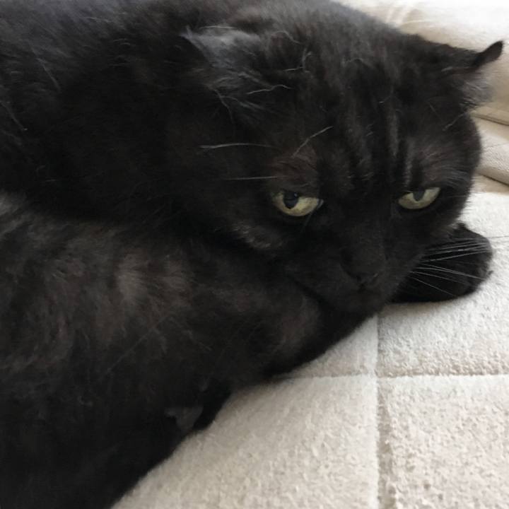 85370787 bbc9 434a 8cc0 e171a5056a8a 1528513232615