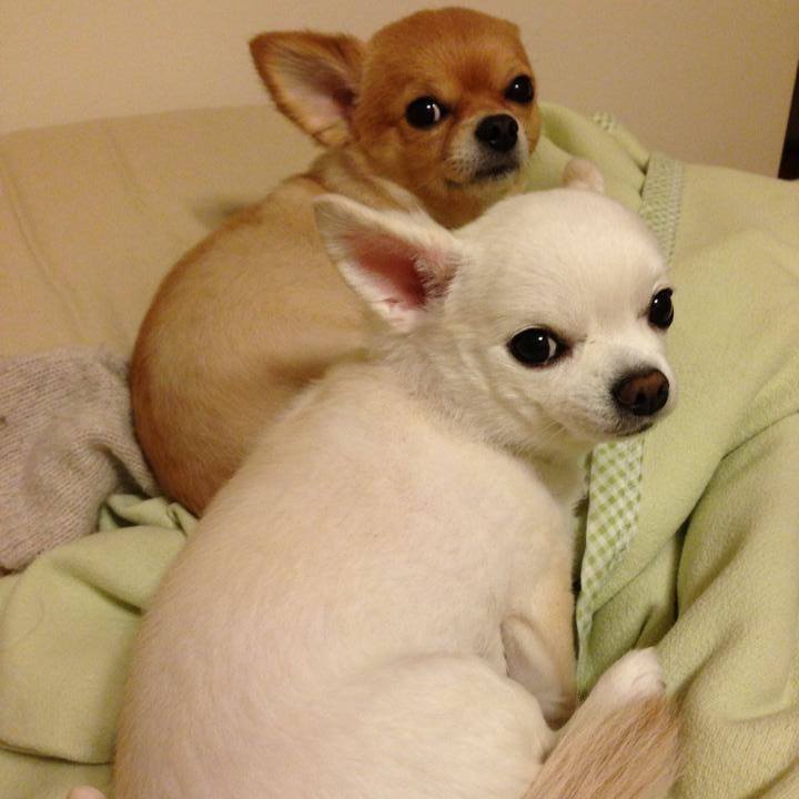 853797a0 129b 4c3c be14 8a036287224b 1520210265743