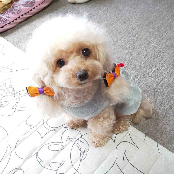 8537d781 9015 4fb0 9b02 abfc40955ea8 1571289033220