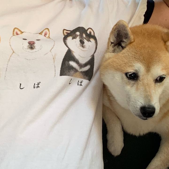 8538265e 0a22 46fb 8b61 c7ea0e1193fd 1595314621085