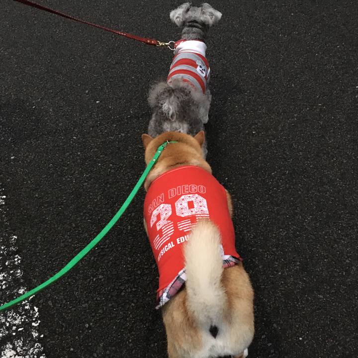 85383df9 6828 4804 bc47 552774b34336 1602406719443