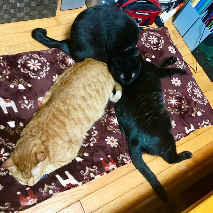 853849bd 2284 4e08 bced 03634707e6f2 1509284346942