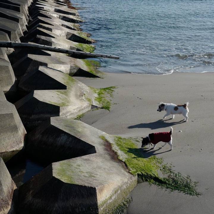 85385267 8b31 4dbd 9897 b18b659aaba2 1552106301130