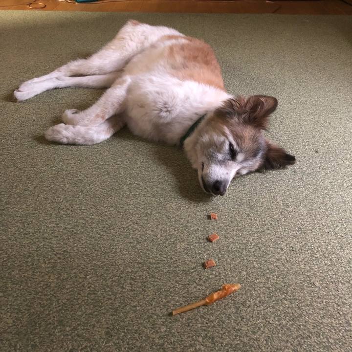 85385bce 5871 448b ad33 fc29de362acc 1535443109390