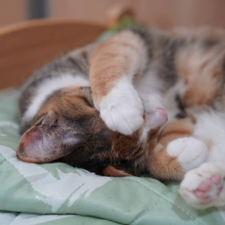 8538853f 5cc4 4a0d a1fc 6f84ef2137b1 1620272202520