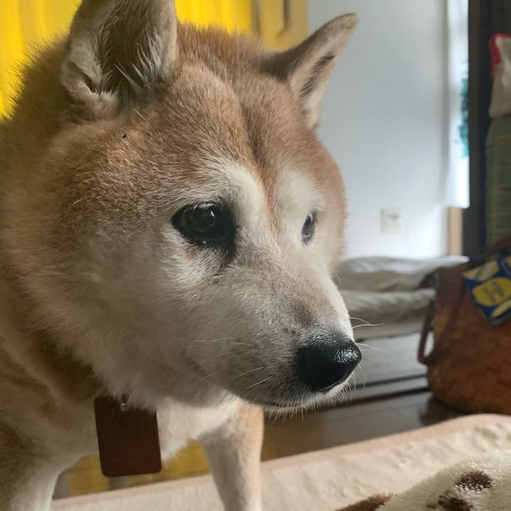 8538882c 4e07 462e 846c d9fe273d2756 1604368220448