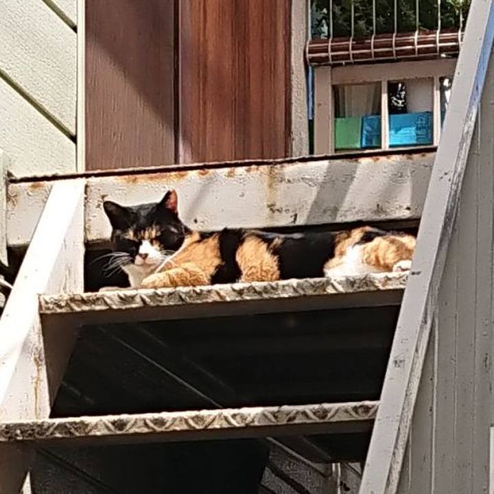 8538c9e5 fd4c 4fe1 9550 564275751e95 1662188665365