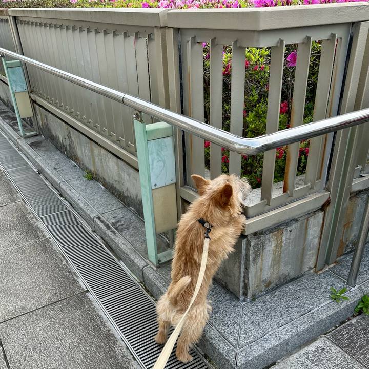 8538cc54 fb5e 4864 aa36 c7297e4d6aa5 1714432343225