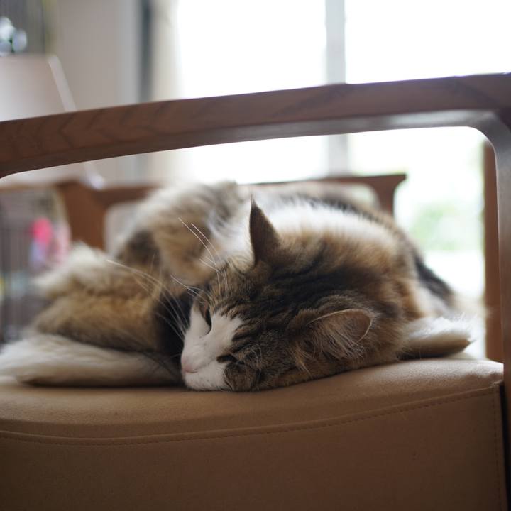 8538e1aa 6fce 4d4c 81fd b71a0aa0bc9e 1620797912837