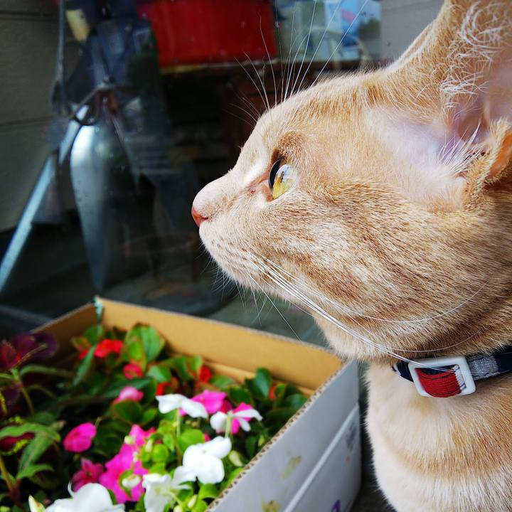 8538f1dc 8aa1 453e aeba 79c808599062 1561176898366