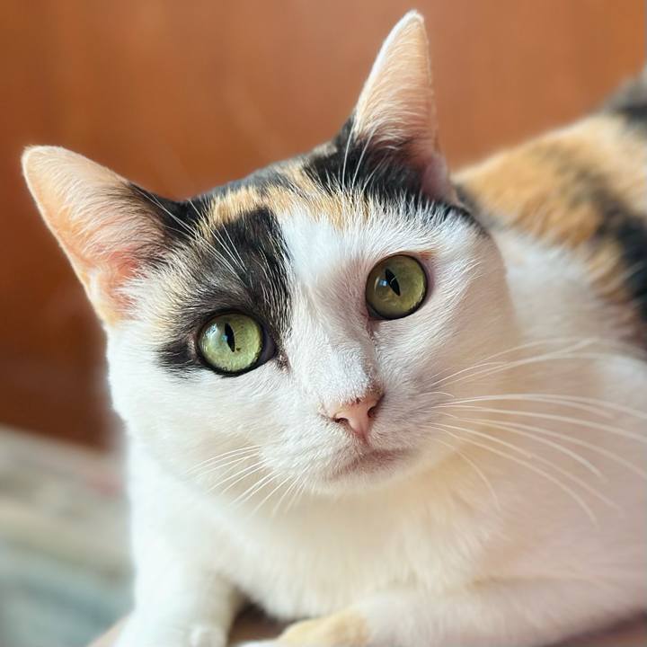 8538f5be 1693 46f4 b3bd d399085c84a1 1692663980811