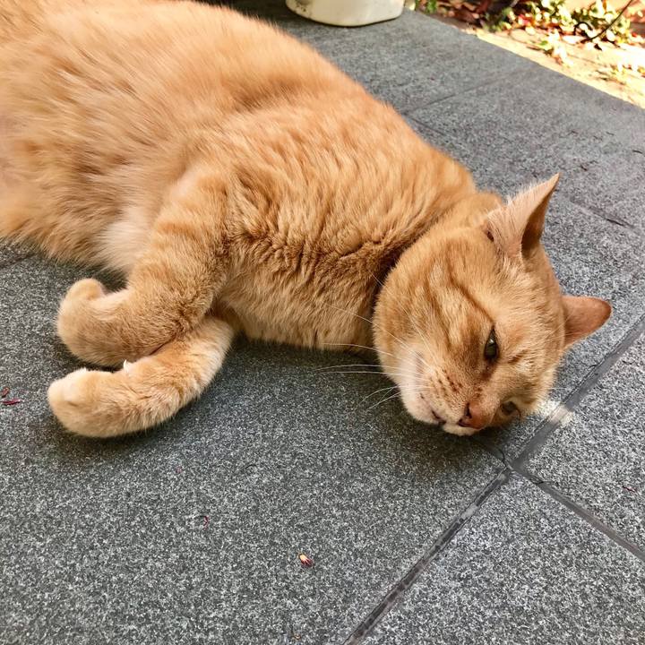 85390635 445d 4899 aaa2 90da186d0799 1522409199328