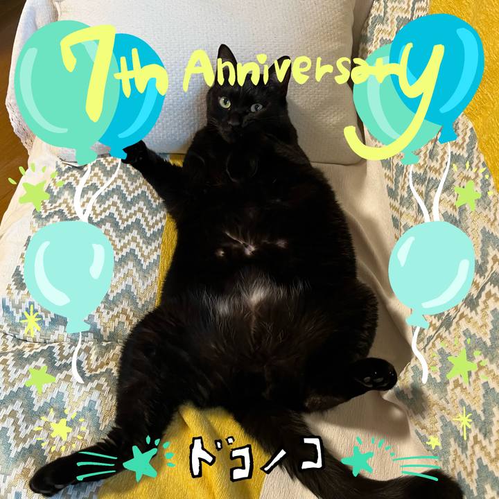 85391f5e 5da3 42e1 b236 be4bf5c4d228 1686003336200