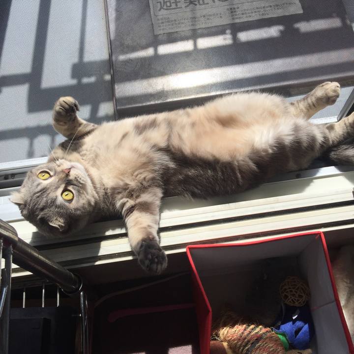 85392641 4af9 459e 927b d3879e89bcbc 1631345350082